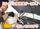 �I�C������