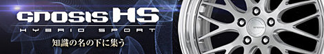 GNOSIS HS
