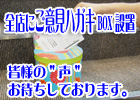 �ӌ��n�K�L